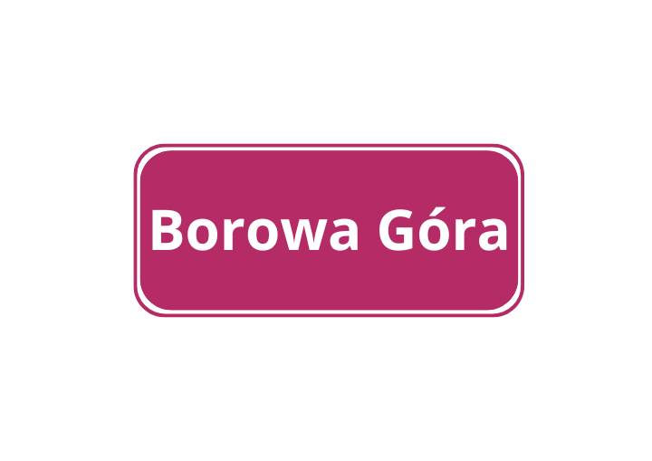 Borowa Góra (2020)