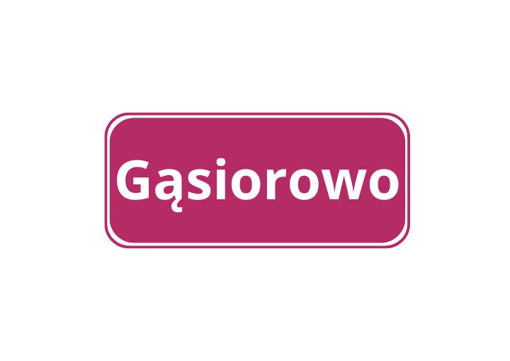 Gąsiorowo (2021)