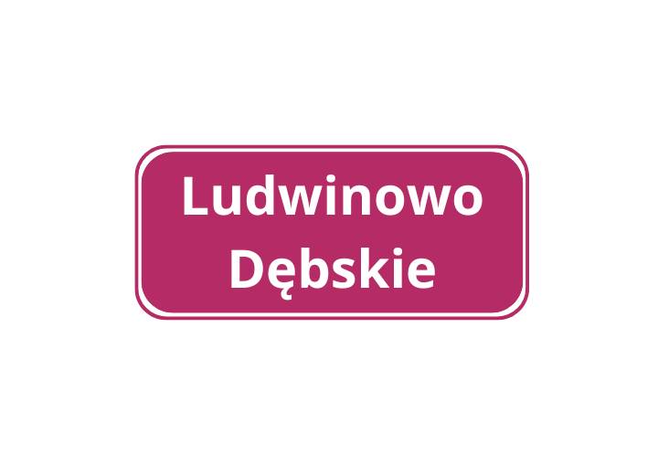 Ludwinowo Dębskie (2023)