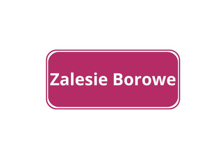 Zalesie Borowe (2022)