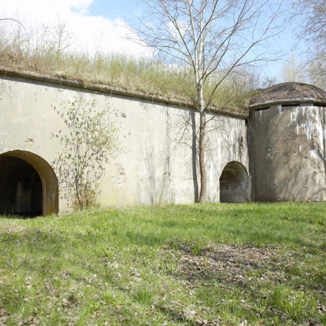 Carski fort–pomocniczy, ale ważny