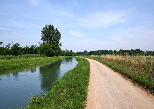 Prace utrzymaniowe na ścieżce pieszo-rowerowej