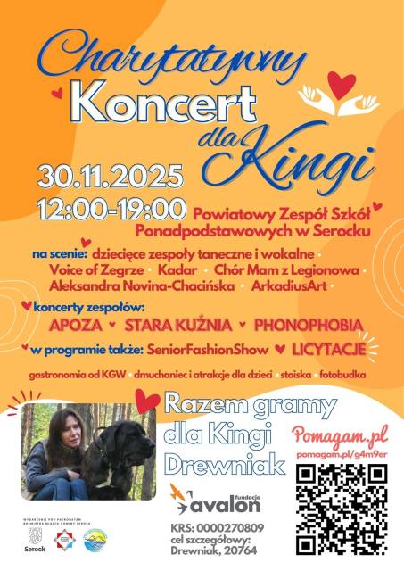Charytatywny Koncert dla Kingi 
