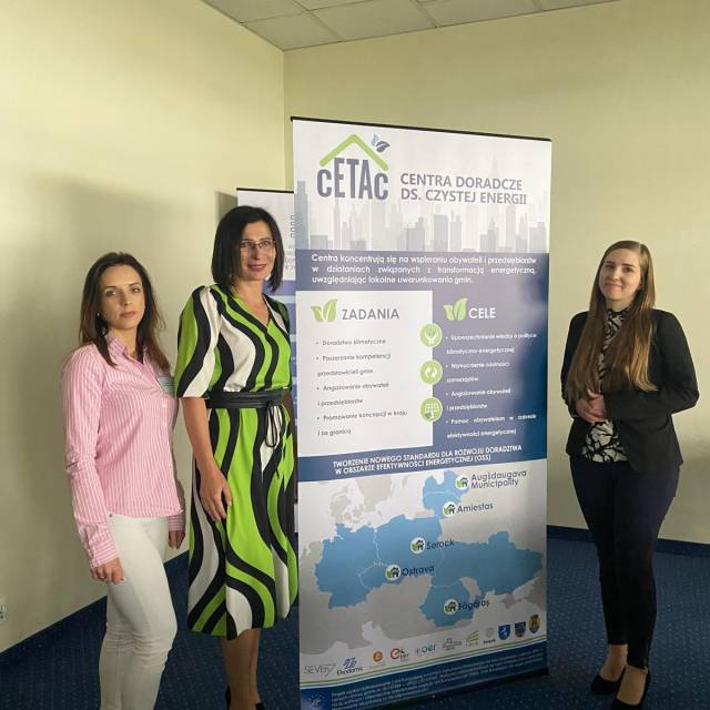  Jednostki samorządu terytorialnego w procesie transformacji energetycznej