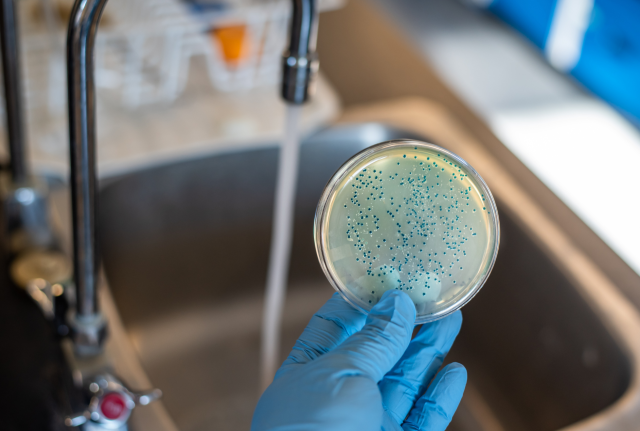 Komunikat w sprawie jakości wody z wodociągu „Łacha” - nr 5