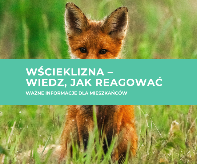 Wścieklizna – wiedz, jak reagować