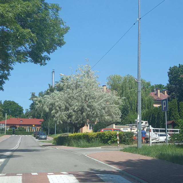 Poprawa efektywności energetycznej na terenie Miasta i Gminy Serock 